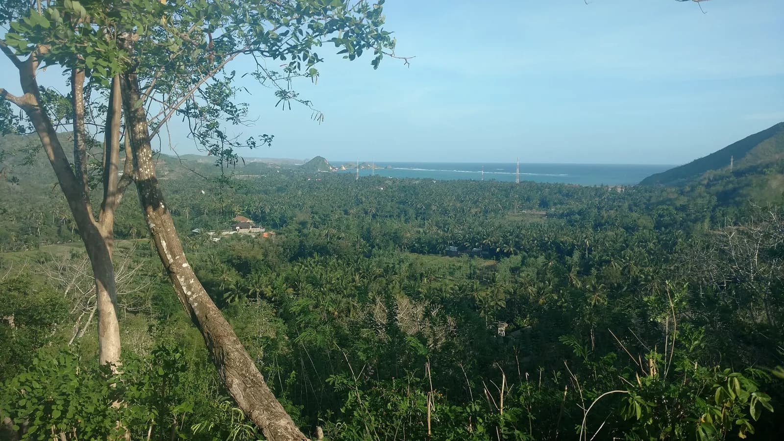 Vue depuis une colline sur une cocoteraie, quelques toits et la mer, sur la côte de Lombok