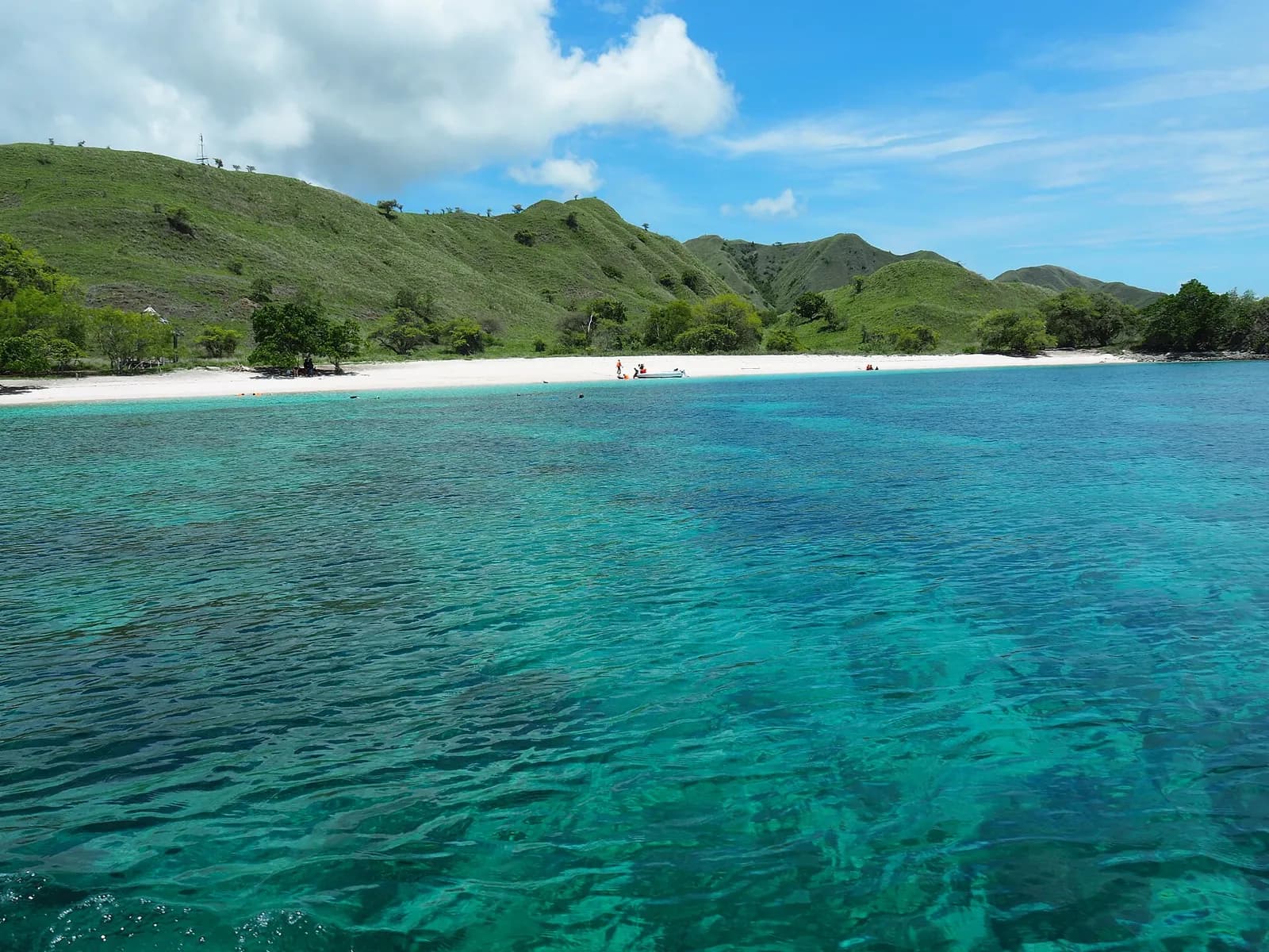 La plage de Pink Beach et son eau turquoise sur l'île de Komodo, Flores