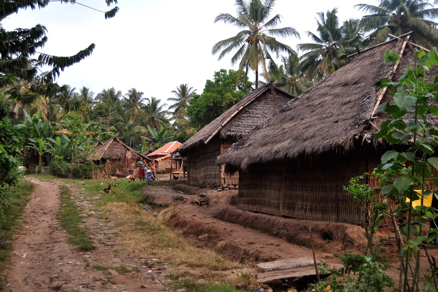Maisons de village à toit de chaume le long d'un chemin de terre, à Munder, dans le nord de Lombok