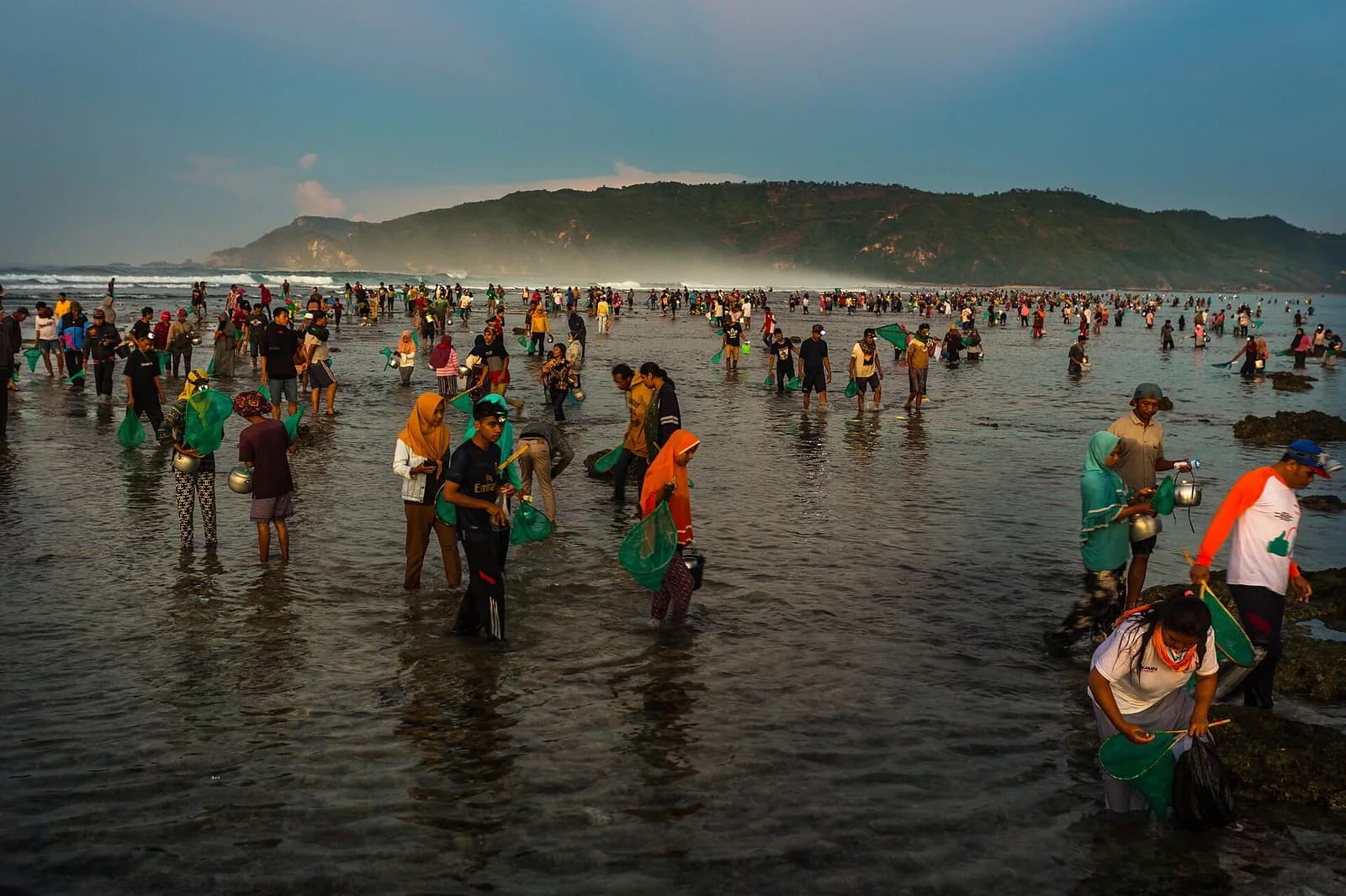 Foule récoltant les nyale dans l'eau peu profonde d'une plage du sud de Lombok pendant le festival Bau Nyale