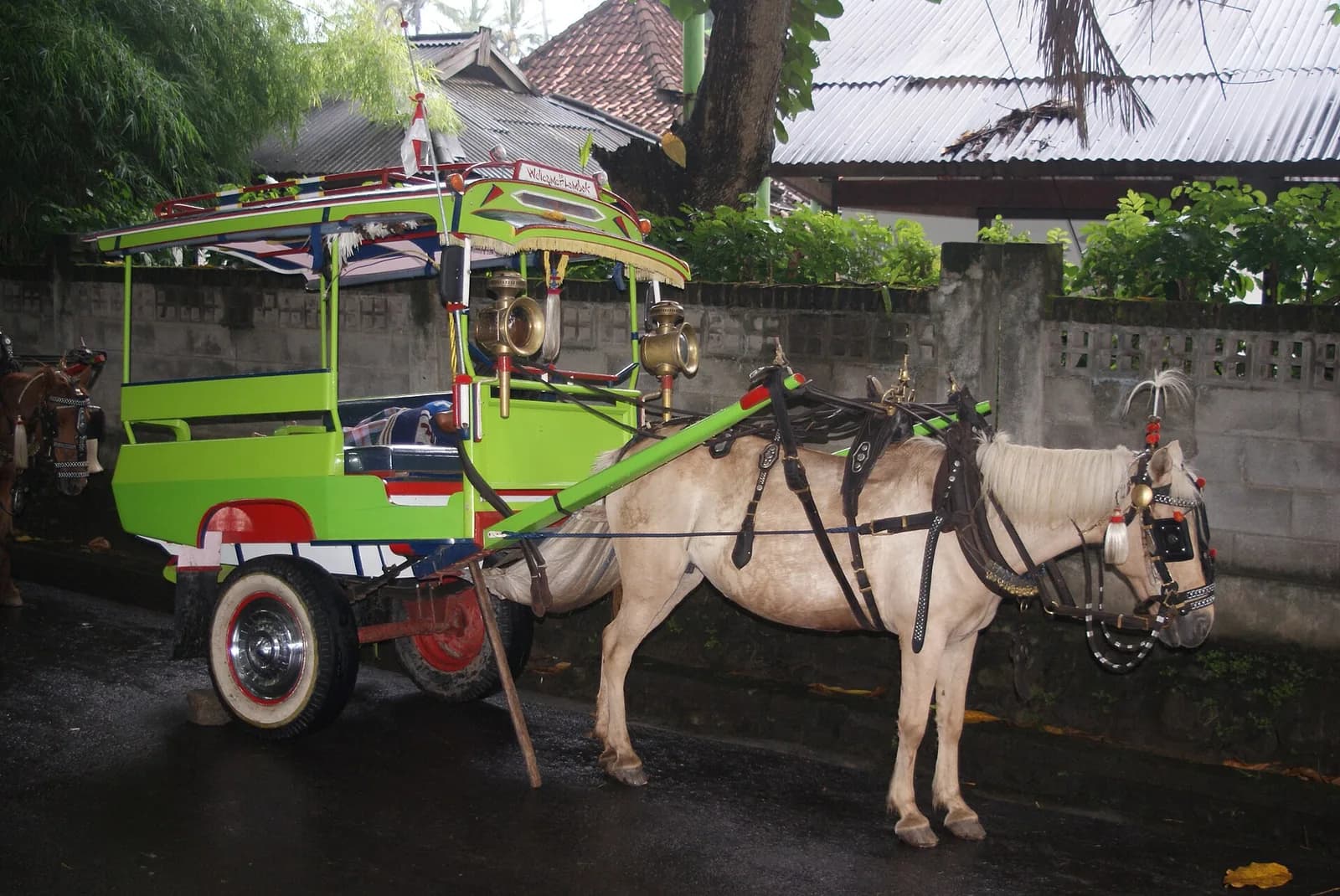 Un cidomo, calèche à cheval aux couleurs vives, garé dans une rue mouillée de Senggigi, Lombok