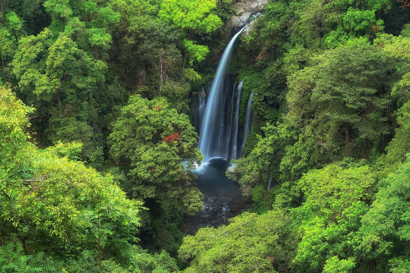 Cascade de Tiu Kelep entourée de forêt dense à Senaru, au pied du Rinjani à Lombok