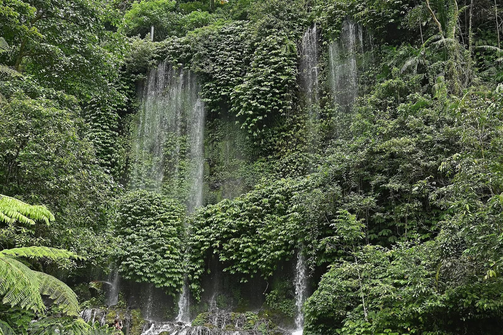 Cascade de Benang Kelambu et ses bassins étagés dans la forêt, Lombok-Centre