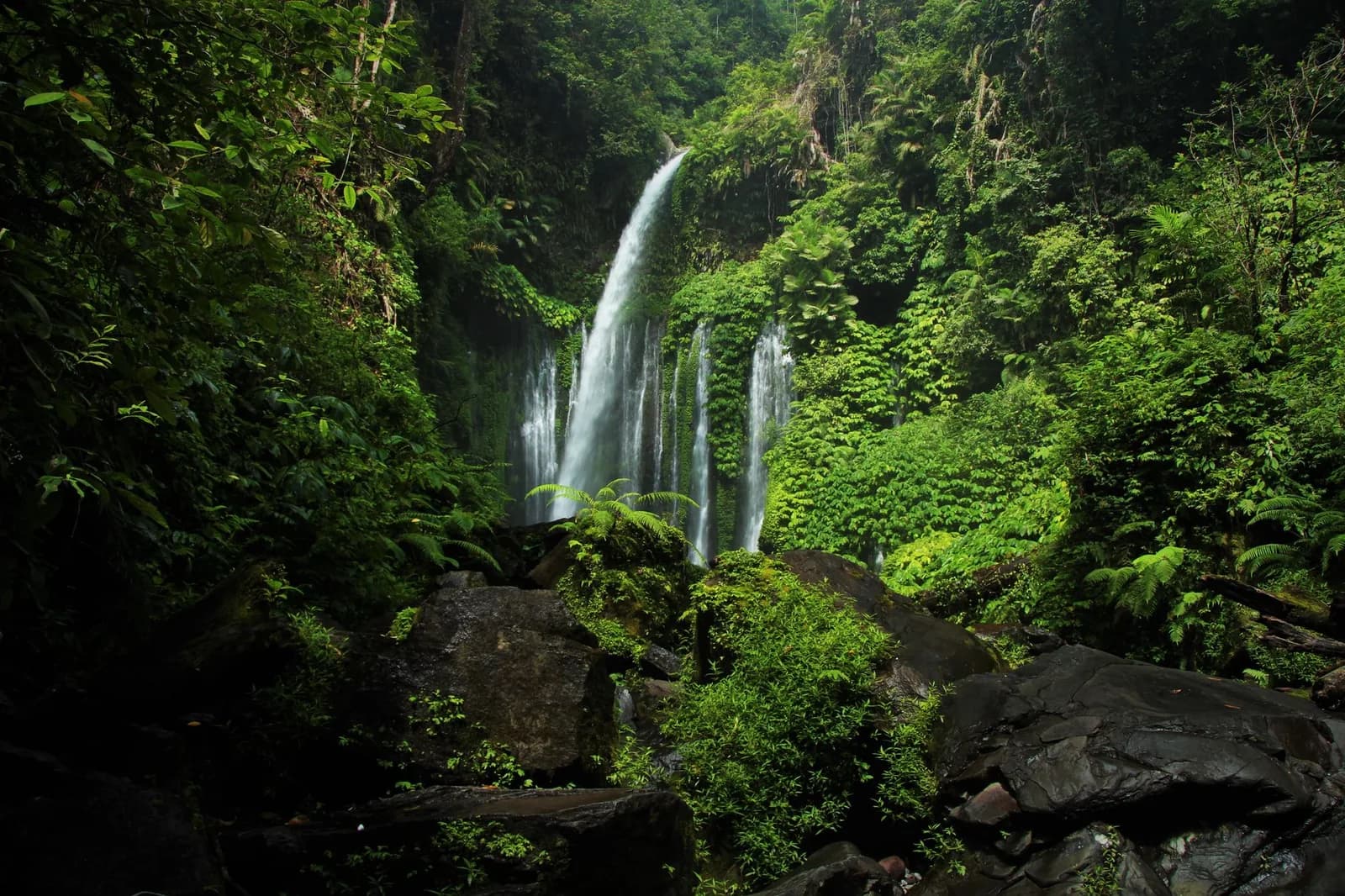 Cascade de Tiu Kelep dans la forêt de Senaru, Lombok