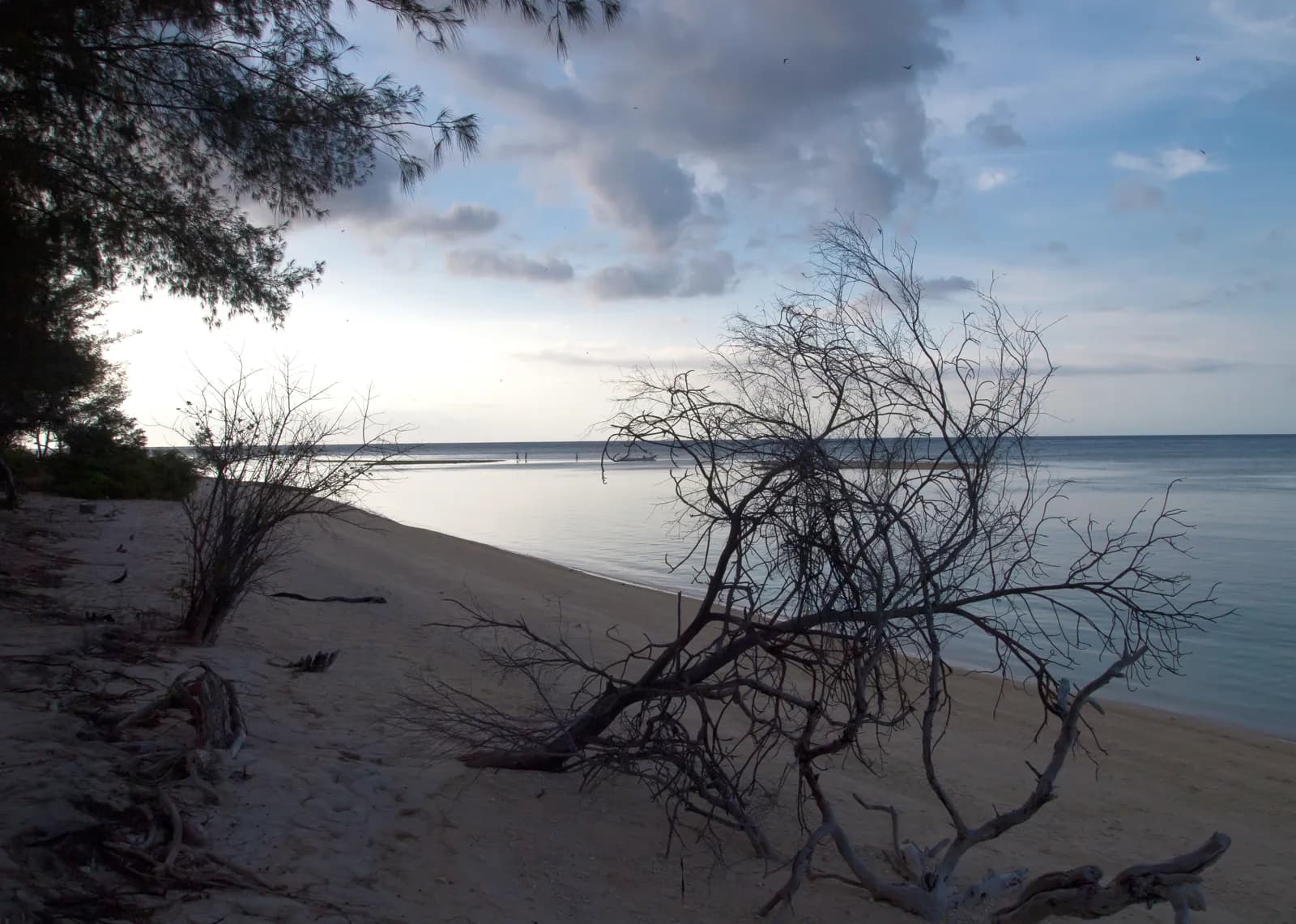 Plage de sable blanc déserte avec du bois flotté sur Gili Meno