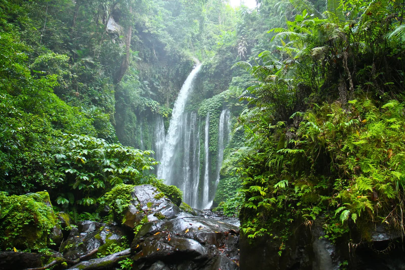 La cascade de Tiu Kelep tombant dans la forêt tropicale, à Senaru, au pied du Rinjani