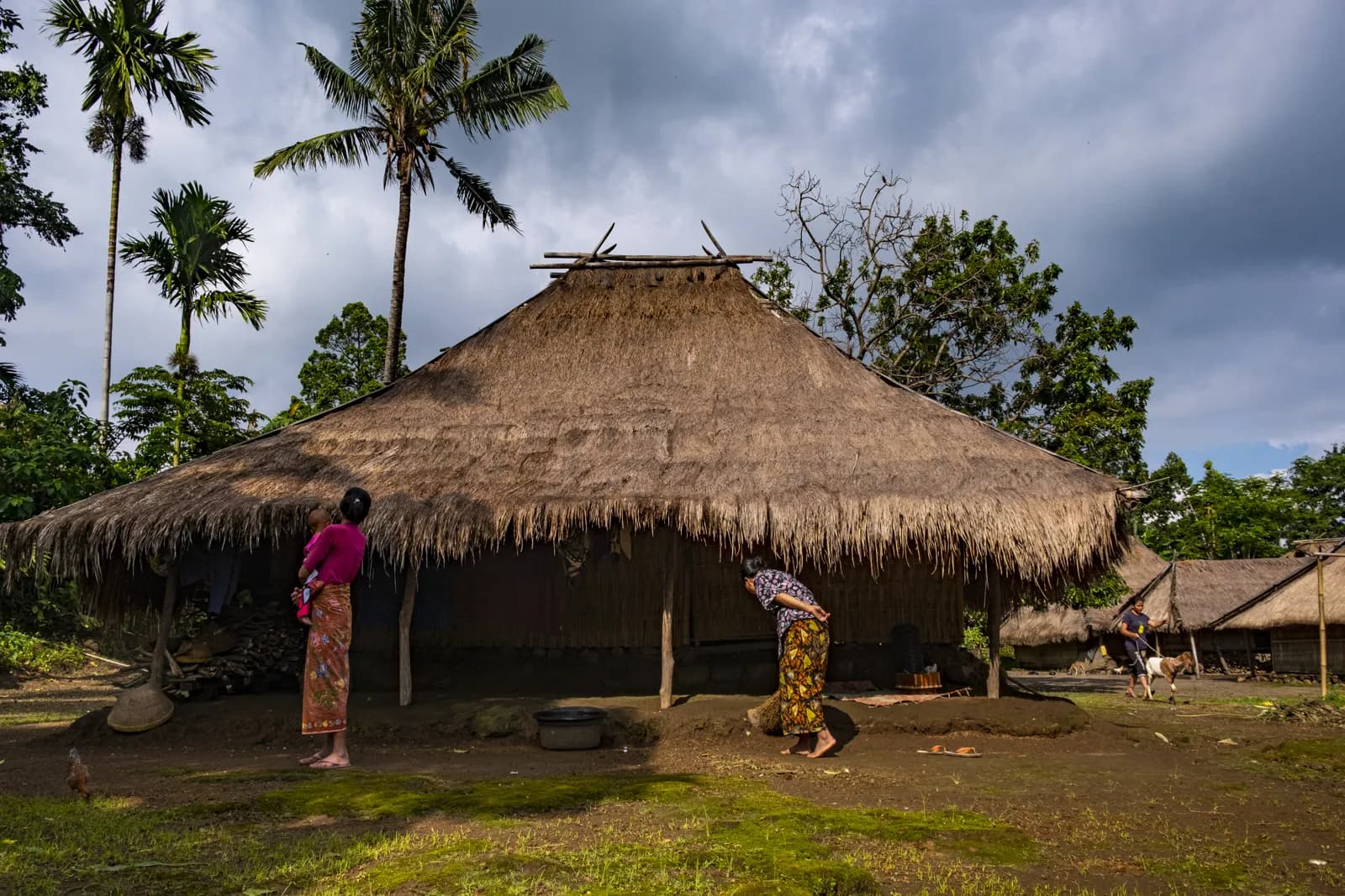 Maison traditionnelle à toit de chaume dans le kampung de Senaru, au nord de Lombok