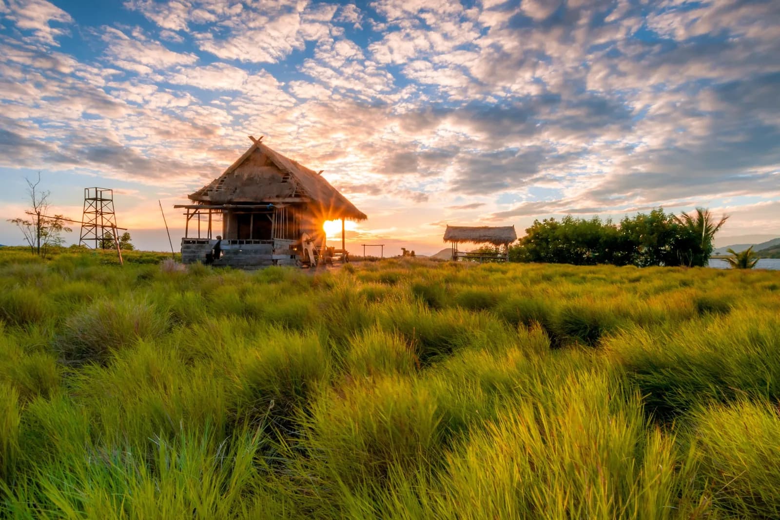 Savane et cabane au coucher du soleil sur l'île de Kenawa, près de Poto Tano, Sumbawa