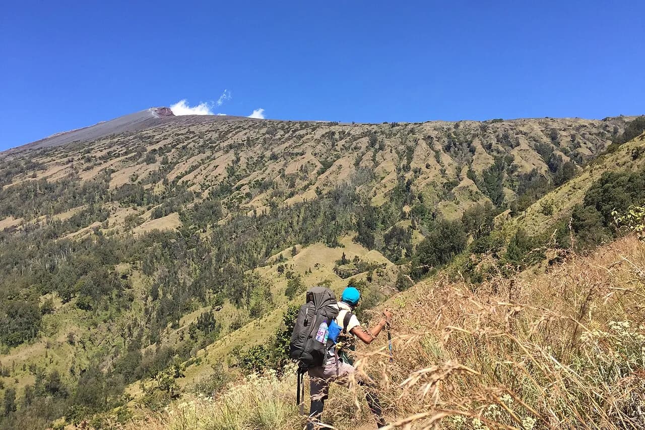 Randonneur sur le sentier de Bukit Penyesalan, avec la crête du Rinjani en arrière-plan, parc national du Rinjani